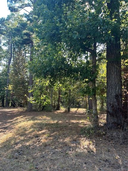 Property for sale in Polk County, Texas