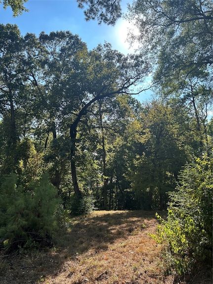 Property for sale in Polk County, Texas