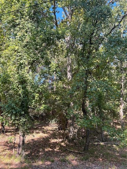 Property for sale in Polk County, Texas