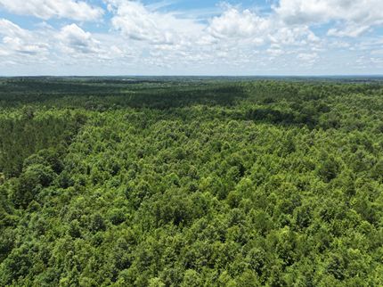 Ranch Property for sale in Harrison County, Texas