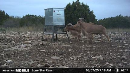 Recreational Property for sale in Edwards County, Texas