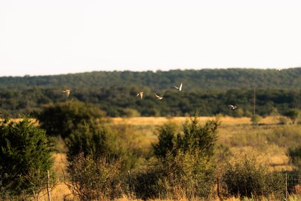 Property for sale in Lampasas County, Texas