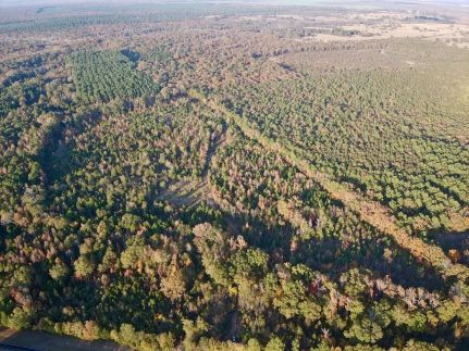 Undeveloped Land for sale in Red River County, Texas