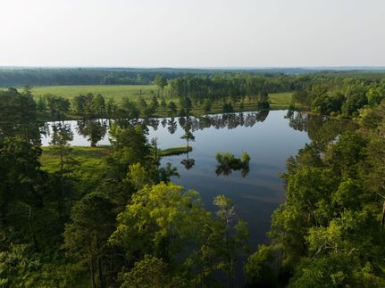 Timberland Property for sale in Barbour County, Alabama