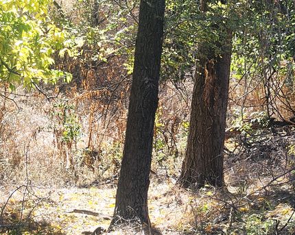 Property for sale in Donley County, Texas