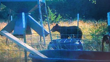 Farm Property for sale in Edwards County, Texas