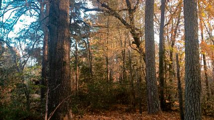 Undeveloped Land for sale in Granville County, North Carolina