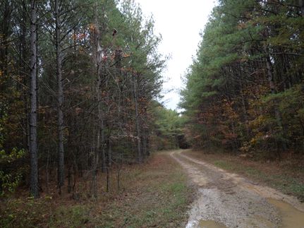 Timberland Property for sale in Grundy County, Tennessee