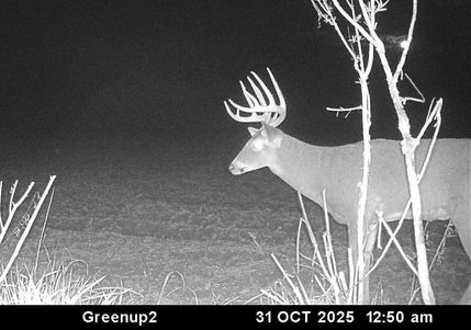 Recreational Property for sale in Cumberland County, Illinois