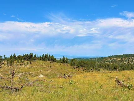 Undeveloped Land for sale in Musselshell County, Montana