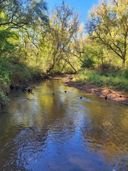 Property for sale in Monroe County, Georgia