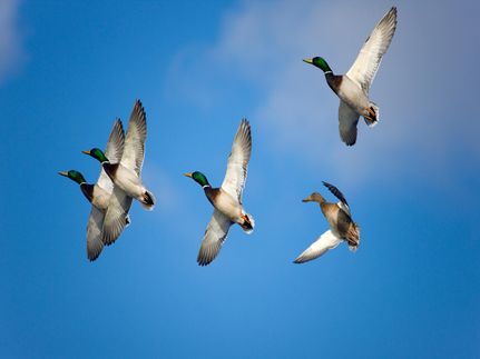 Property for sale in Jefferson County, Arkansas