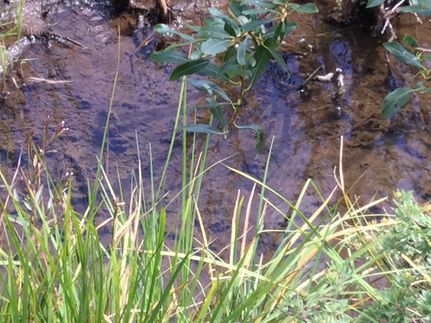 Undeveloped Land for sale in Teller County, Colorado