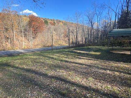 Hunting Land for sale in Steuben County, New York