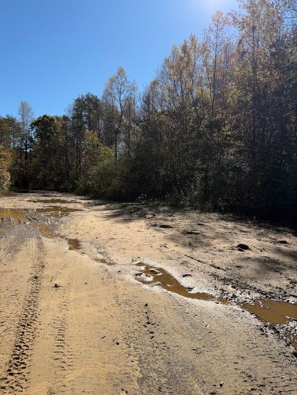 Undeveloped Land for sale in Marion County, Tennessee