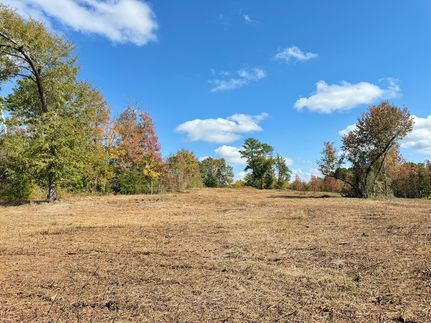 Property for sale in Marlboro County, South Carolina