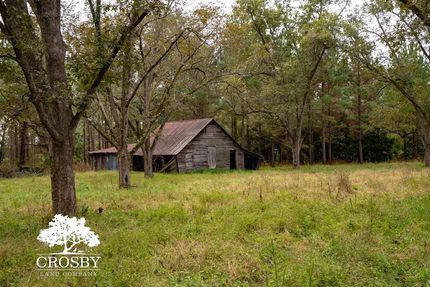 Recreational Property for sale in Bamberg County, South Carolina