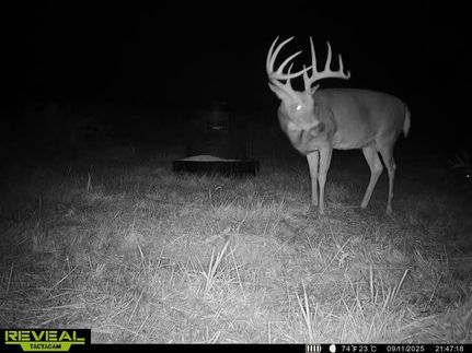 Property for sale in Osage County, Kansas