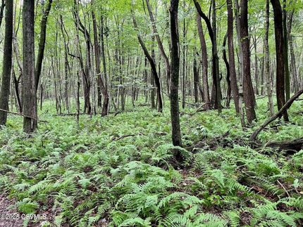 Hunting Land for sale in Columbia County, Pennsylvania