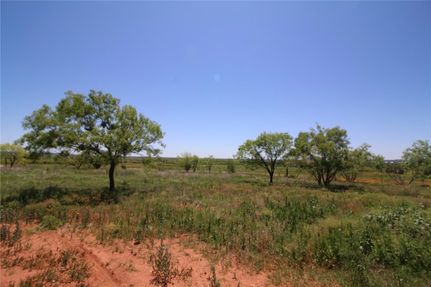 Undeveloped Land for sale in Taylor County, Texas