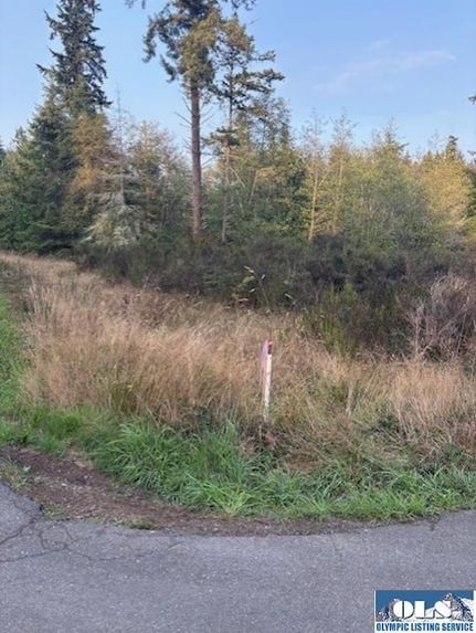 Recreational Property for sale in Clallam County, Washington