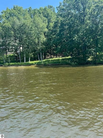 Undeveloped Land for sale in Isabella County, Michigan