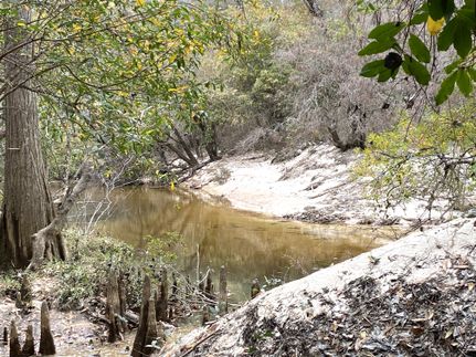 Timberland Property for sale in Baldwin County, Alabama