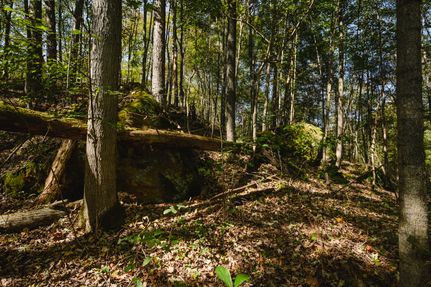 Property for sale in Gallia County, Ohio