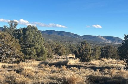 Timberland Property for sale in Elko County, Nevada