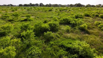 Residential Property for sale in Young County, Texas