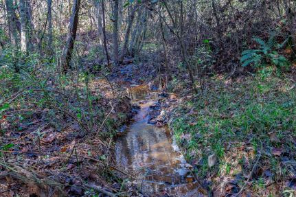 Recreational Property for sale in Stephens County, Georgia