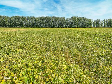 Property for sale in Pembina County, North Dakota