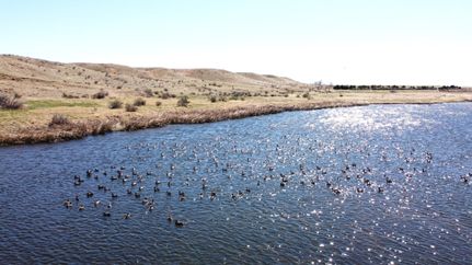 Farm Property for sale in Logan County, Colorado