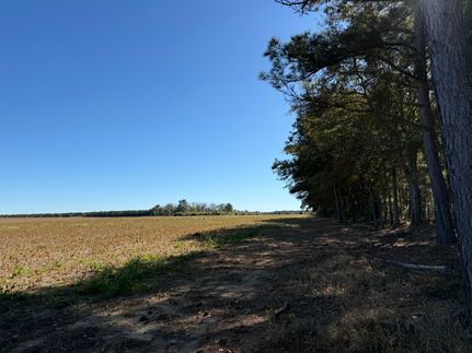 Farm Property for sale in Williamsburg County, South Carolina