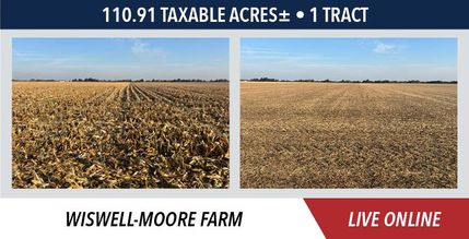 Property for sale in Warren County, Illinois