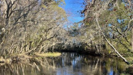 Hunting Land for sale in Robeson County, North Carolina