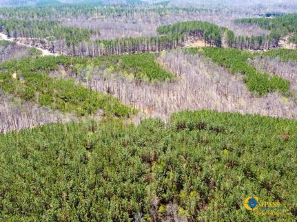 Property for sale in Perry County, Tennessee