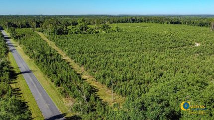 Undeveloped Land for sale in Macon County, Georgia