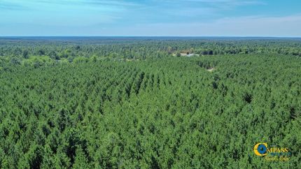 Undeveloped Land for sale in Marion County, Georgia