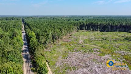 Property for sale in Drew County, Arkansas