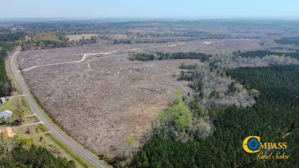 Undeveloped Land for sale in Washington County, Georgia