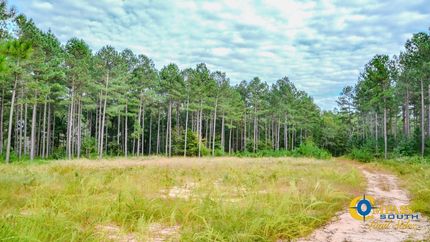 Property for sale in Union County, South Carolina