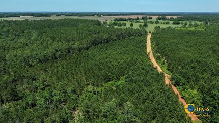 Undeveloped Land for sale in Marion County, Georgia