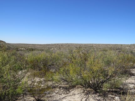 Undeveloped Land for sale in Terrell County, Texas