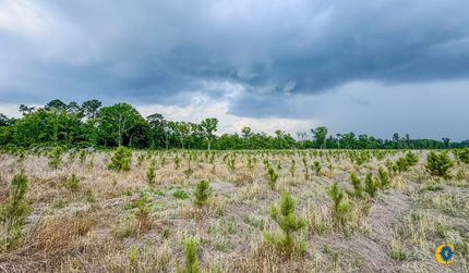 Undeveloped Land for sale in Bulloch County, Georgia