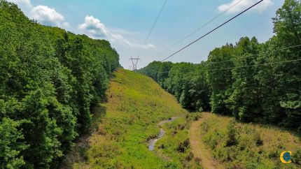 Timberland Property for sale in Maury County, Tennessee