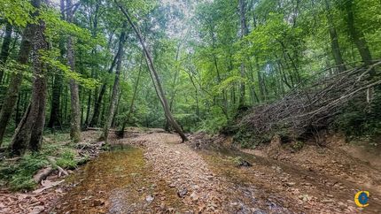 Timberland Property for sale in Benton County, Tennessee