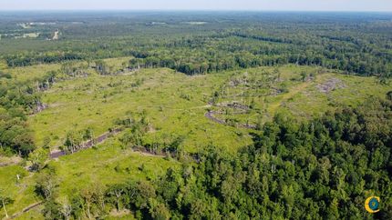 Property for sale in Bradley County, Arkansas