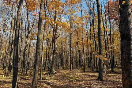 Hunting Land for sale in Price County, Wisconsin