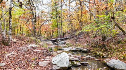 Property for sale in Laurens County, South Carolina